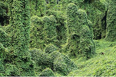 《少女歌剧Revue Starlight》将于今冬推出主机游戏